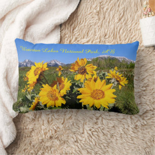 Arrowleaf Balsamroot Wildblume Lumbar Kissen