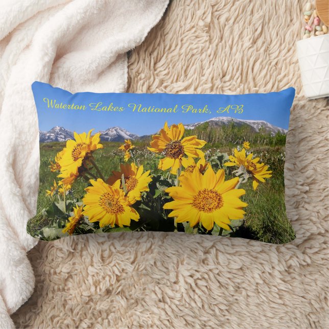 Arrowleaf Balsamroot Wildblume Lumbar Kissen (Decke)