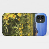 Arrowleaf balsomroot bedeckt mit Case-Mate iPhone hülle (Rückseite (Horizontal))
