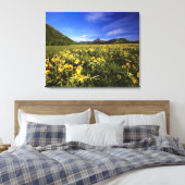 Arrowleaf balsomroot bedeckt mit leinwanddruck (Insitu (Schlafzimmer))