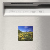 Arrowleaf balsomroot bedeckt mit magnet (In Situ (Geschirrspüler))