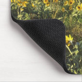 Arrowleaf balsomroot Wildblumen in Waterton 2 Mousepad (Ecke)