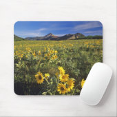 Arrowleaf balsomroot Wildblumen in Waterton 2 Mousepad (Mit Mouse)