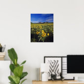 Arrowleaf balsomroot Wildblumen in Waterton 2 Poster (Heimbüro)