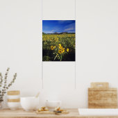 Arrowleaf balsomroot Wildblumen in Waterton 2 Poster (Küche)