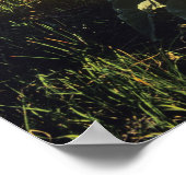 Arrowleaf balsomroot Wildblumen in Waterton 2 Poster (Ecke)