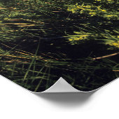 Arrowleaf balsomroot Wildblumen in Waterton Poster (Ecke)