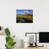 Arrowleaf balsomroot Wildblumen in Waterton Poster (Heimbüro)