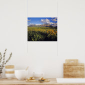 Arrowleaf balsomroot Wildblumen in Waterton Poster (Küche)