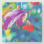 Arrowwood Beauty Steinuntersetzer (Vorderseite)