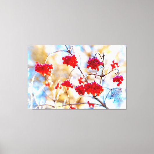 Arrowwood Berries Leinwanddruck (Vorderseite)