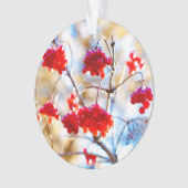 Arrowwood Berries Ornament (Vorderseite)