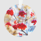 Arrowwood Berries Ornament (Vorderseite)