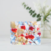 Arrowwood Berries Postkarte (Stehend Vorderseite)