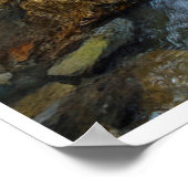 Arroyo Flow Poster (Ecke)