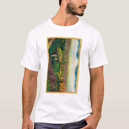 Arroyo Seco BridgePasadena, CA T-Shirt (Vorderseite)