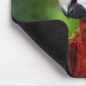 Arsch, Vogel, Tier Mousepad (Ecke)
