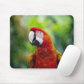 Arsch, Vogel, Tier Mousepad (Mit Mouse)