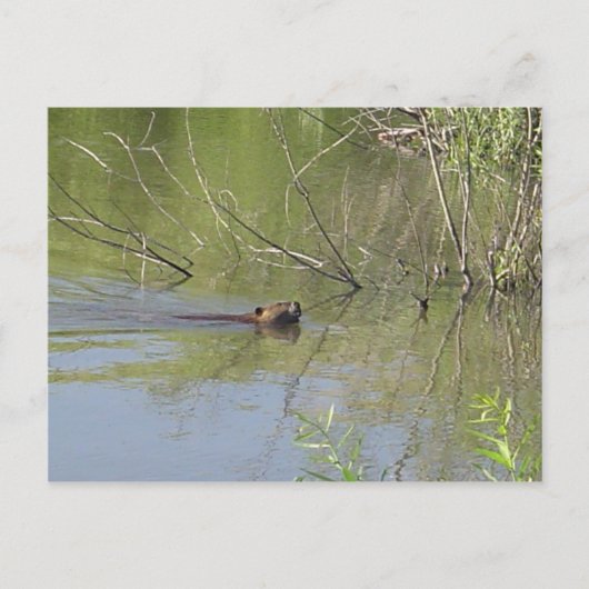 Art 2 postkarte (Vorderseite)