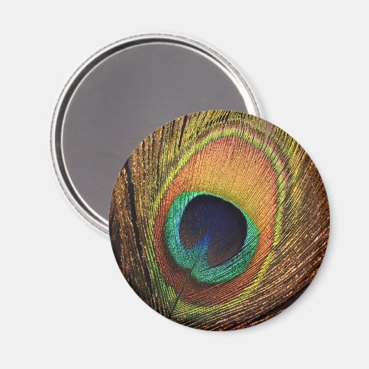 Art 4Wilma Magnet (Vorderseite/Rückseite)