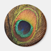 Art 4Wilma Magnet (Vorne)