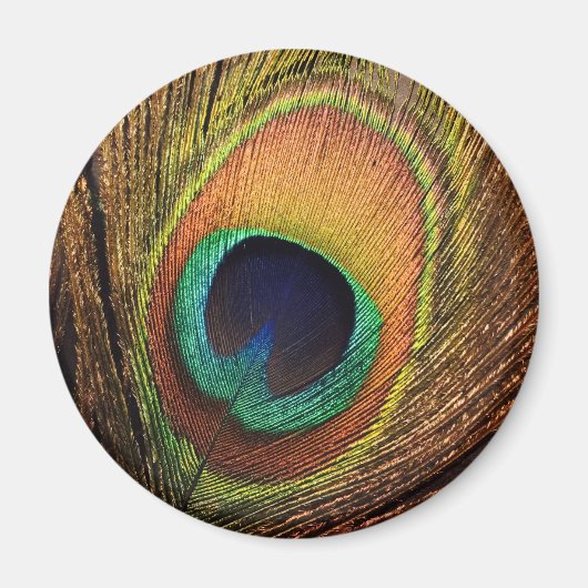 Art 4Wilma Magnet (Vorne)