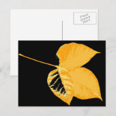 Art Blatt 12 Postkarte (Vorne/Hinten)
