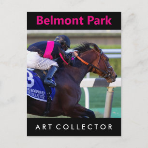 Art Collector & Saez Postkarte