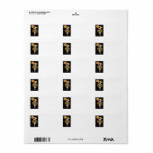 Art Deco Hexe Kürbislaterne Pumpkin Black Cat Adressaufkleber (Vorne)