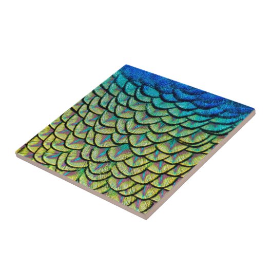 Art-Déco-Muster in PfauenFedern Nah Fliese (Seite)