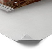 Art Deco Opulence Geometric Patterns IIHER_XHU_001 Poster (Ecke)