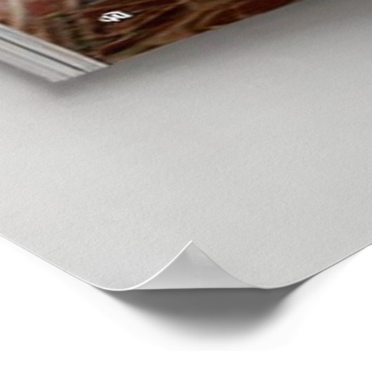 Art Deco Opulence Geometric Patterns IIHER_XHU_001 Poster (Ecke)