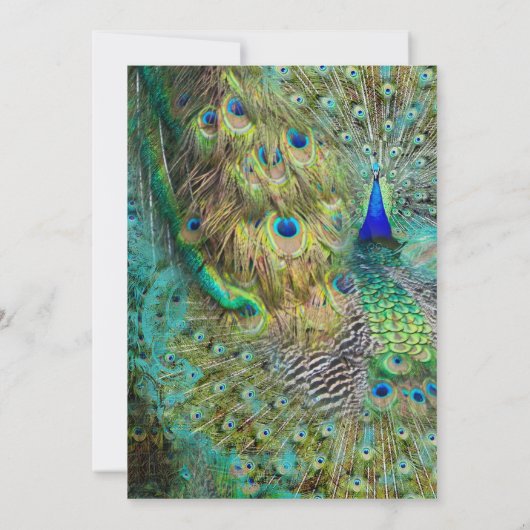 Art Deco Peacock Glam Old Hollywood Couples Dusche Einladung (Rückseite)