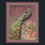 Art-Deco-Pfau der 1920er Jahre von Carlo Chiostri Poster<br><div class="desc">Art Deco Peacock ca. 1920 von Carlo Chiostri</div>