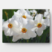 Art Deco Plaque-Blume Plaque Fotoplatte (Vorderseite)