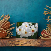 Art Deco Plaque-Blume Plaque Fotoplatte (Seite)