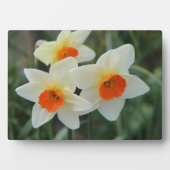 Art Deco Plaque-Blume Plaque Fotoplatte (Vorderseite)