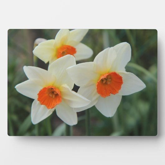 Art Deco Plaque-Blume Plaque Fotoplatte (Vorderseite)