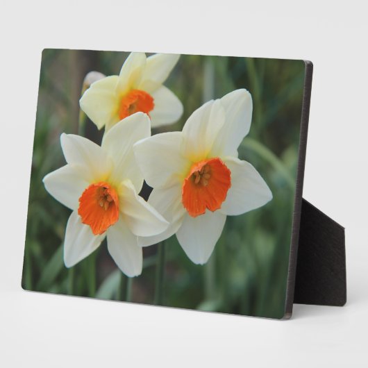 Art Deco Plaque-Blume Plaque Fotoplatte (Seite)