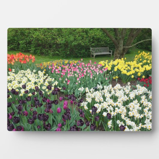 Art Deco Plaque-Blume Plaque Fotoplatte (Vorderseite)