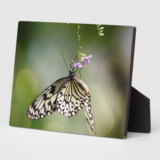 Art Deco Plaque-Butterfly Plaque Fotoplatte (Seite)