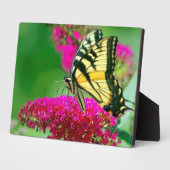 Art Deco Plaque-Butterfly Plaque Fotoplatte (Seite)