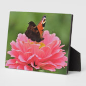 Art Deco Plaque-Butterfly Plaque Fotoplatte (Seite)