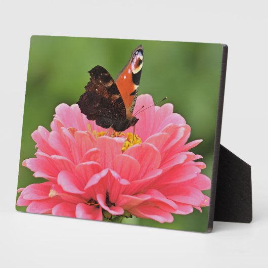 Art Deco Plaque-Butterfly Plaque Fotoplatte (Seite)