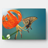 Art Deco Plaque-Butterfly Plaque Fotoplatte (Vorderseite)