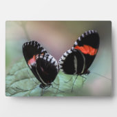 Art Deco Plaque-Butterfly Plaque Fotoplatte (Vorderseite)