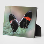 Art Deco Plaque-Butterfly Plaque Fotoplatte (Seite)