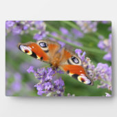 Art Deco Plaque-Butterfly Plaque Fotoplatte (Vorderseite)