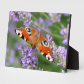 Art Deco Plaque-Butterfly Plaque Fotoplatte (Seite)