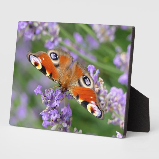 Art Deco Plaque-Butterfly Plaque Fotoplatte (Seite)